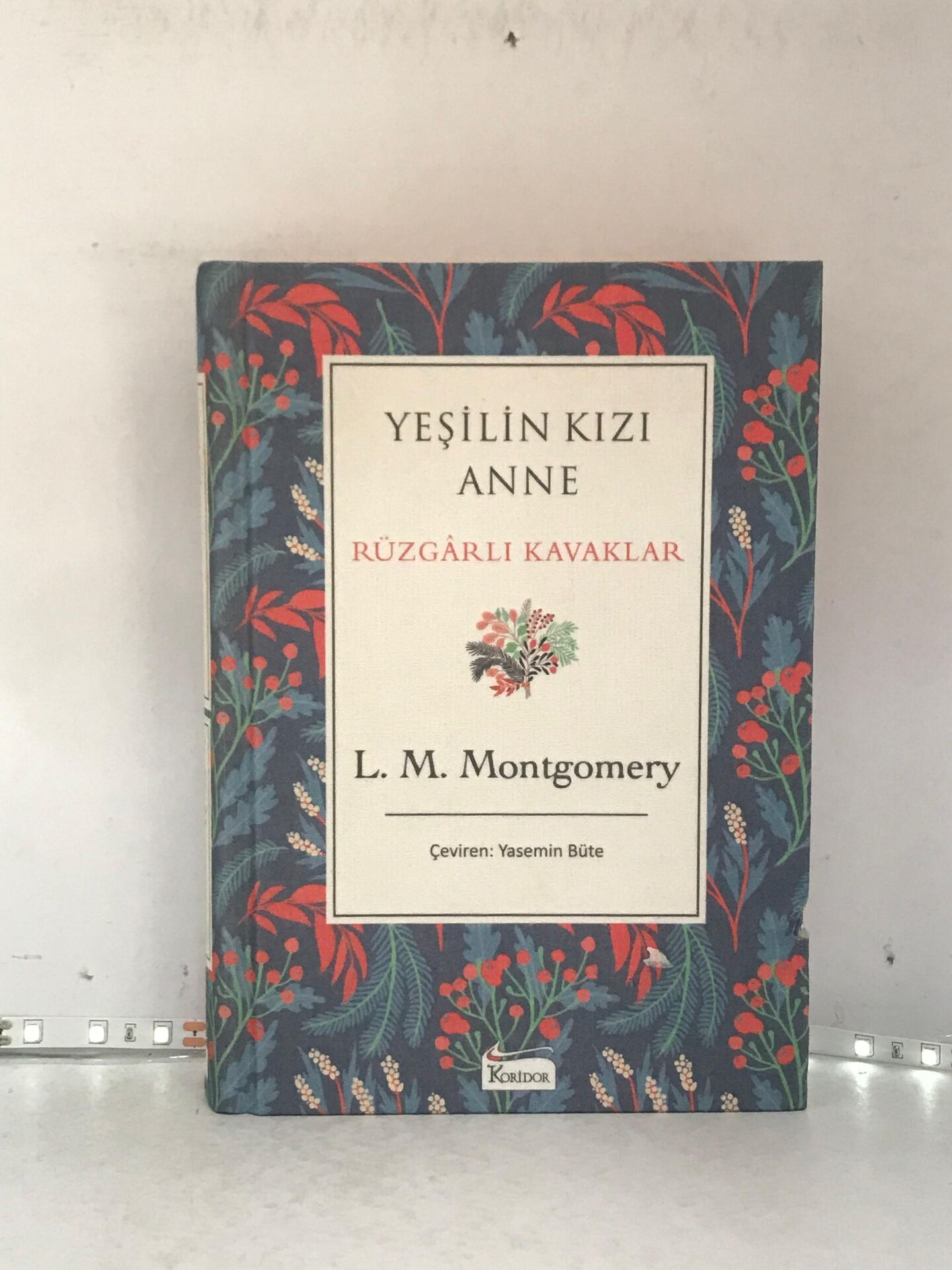Yeşilin Kızı Anne Avonlea Mavi Bez Cilt
