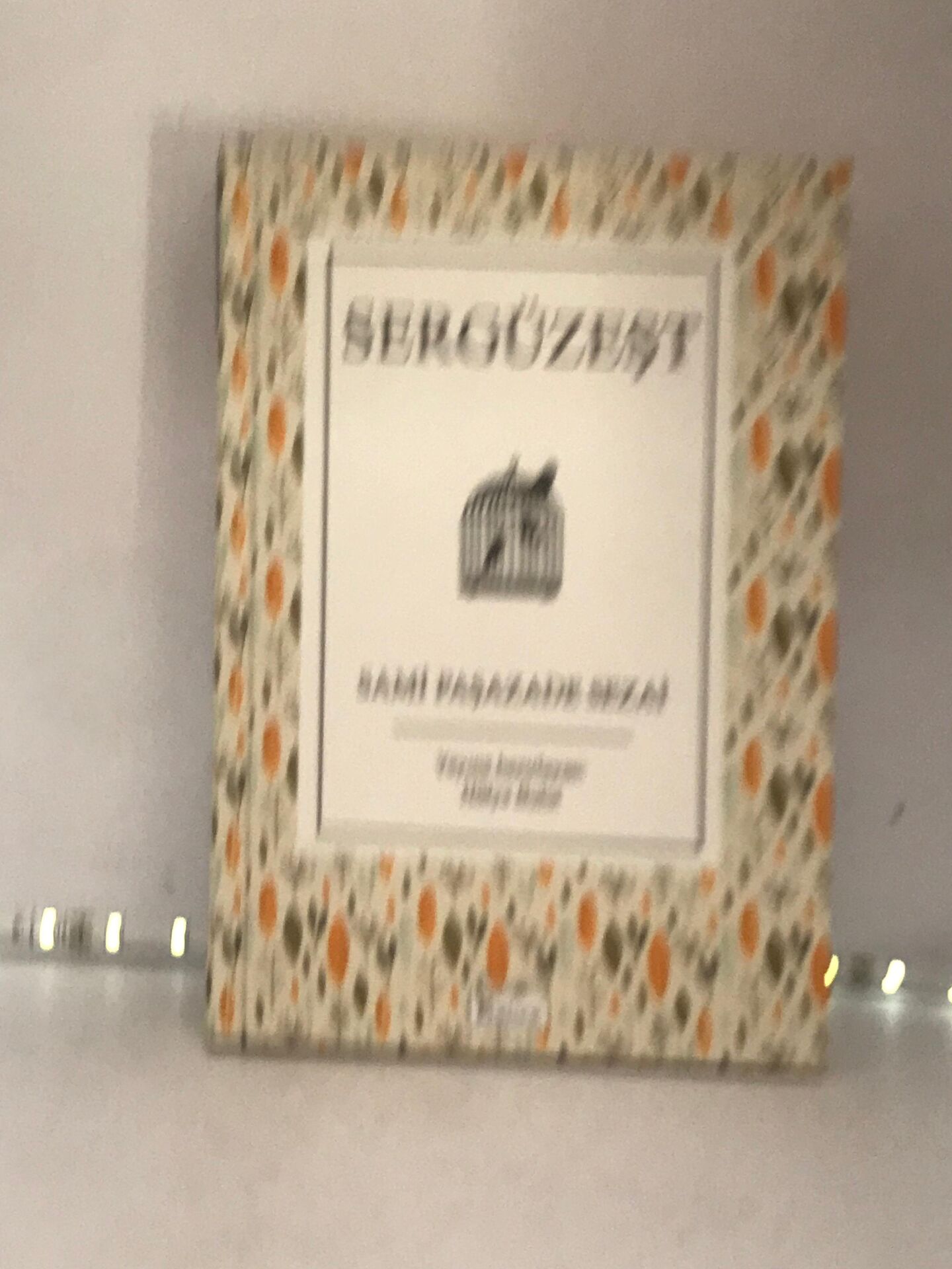 Serguzeşt