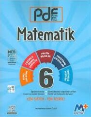 6 Sınıf Matematik PDF Planlı Ders Föyü Martı