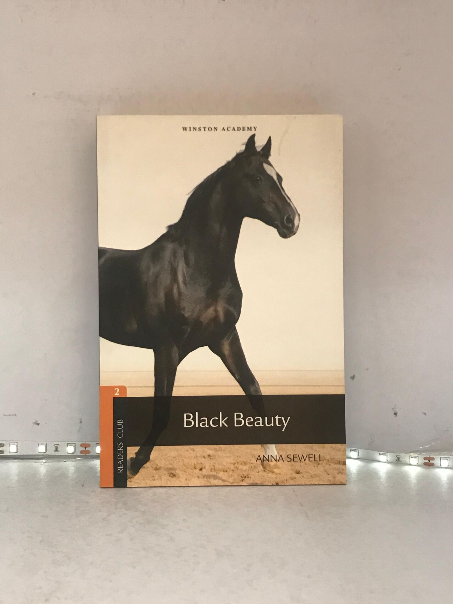 Black Beauty Level 2